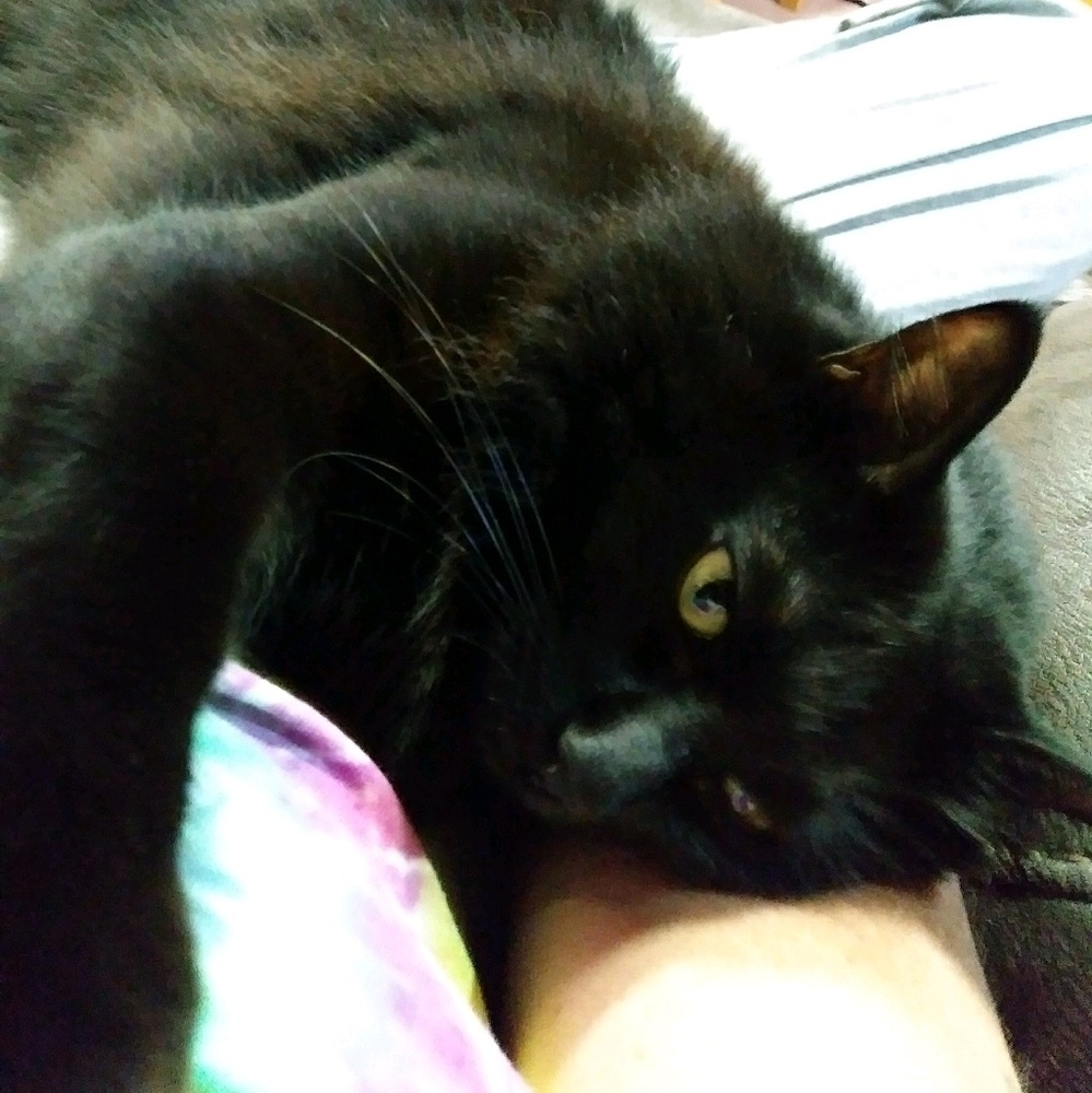 Meet your Posher, Amanda